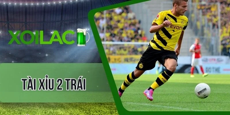 Những sai lầm cơ bản khiến cược tài xỉu thất bại