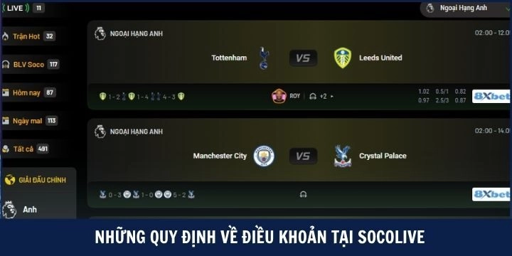 Điều khoản sử dụng thông tin Socolive cung cấp