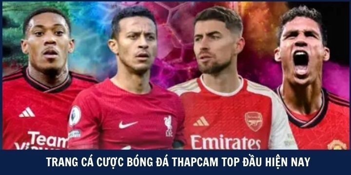 Những thông tin khái quát về thapcam bạn nên biết