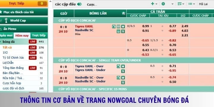 Thông tin về Nowgoal dành cho người mới tìm hiểu
